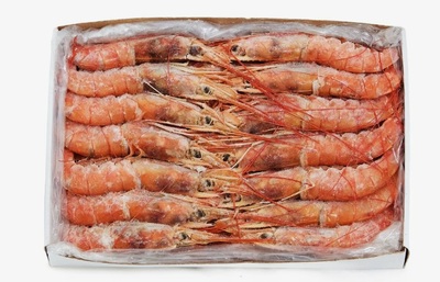 Креветка Лангустины с/г L1 (10/20) Аргентина (2125) короб. 2/12кг+