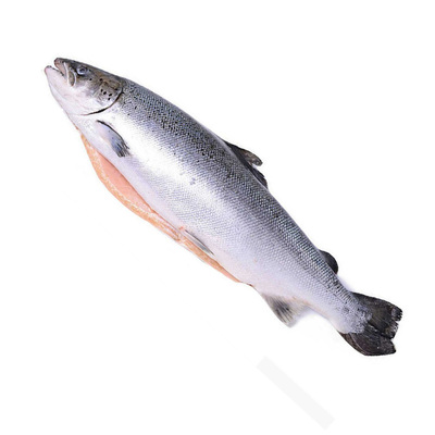 Лосось ПСГ 2-3кг PREMIUM Чили (10156) короб. ~2-3/26-30 кг+