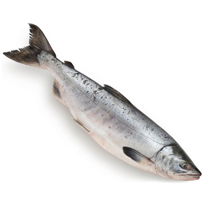 Горбуша н/р Народы Севера монолит 11/22кг