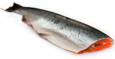 Горбуша ПБГ  Хайлюля монолит 11/22кг