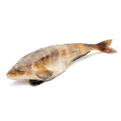 Терпуг н/р 800гр+ Касима Мару ПРК монолит 18 кг