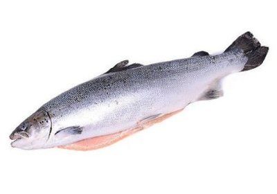 Лосось ПСГ 3-4кг PREMIUM Чили (12079) короб. 3-4/ 26кг+