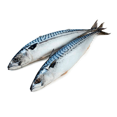 Скумбрия н/р 500гр+ Китай (3300/02902) короб. 10кг