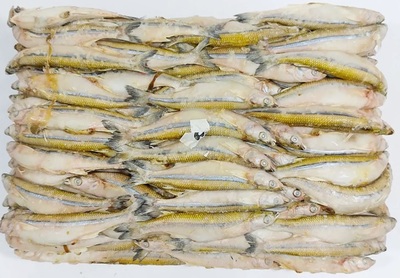 Корюшка н/р 23+см Аргентина (3282) короб. 20кг