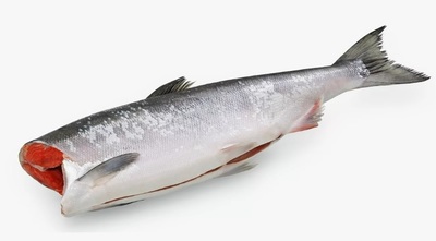 Нерка ПБГ штучная  Витязь Авто уп. ~2/25кг+