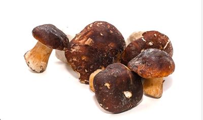 Гриб белый 2 сорт замороженный (6-10 см) 7кг/кор Болетус-ЛТ