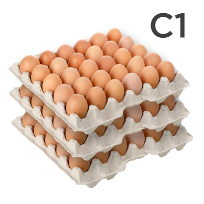 Яйцо С1 клетка 180шт/кор Барановичская ПФ