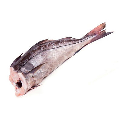 Пикша ПБГ 0,5-1кг штучная ПитерСиФуд короб. 12 кг