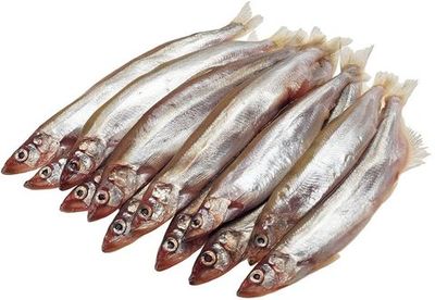 Мойва н/р 30-40 Фарерские  Острова  (174) монолит 13/26кг+