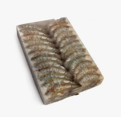 Креветка ваннамей б/г в панцире 21/25 Эквадор(480) белая эт блок 1,8/10,8кг