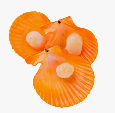 Гребешок золотой на половинке раковины 45-55 Китай (3700/02B07
)короб 1/10+